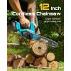 imageSEESII Electric Chainsaw Cordless 12inch Handheld Chain Saws with a 40Ah Battery Tree Saw with Toolfree Chain Tension Auto Oiling for Wood Cutting Trimming Branch2 x 4000mAh 12 Inch Pro